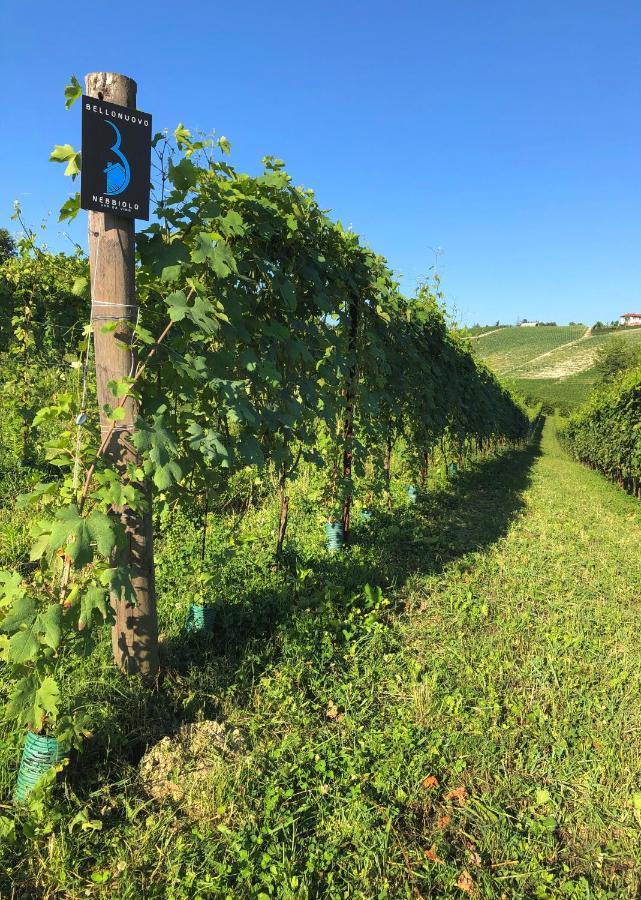 Cascina Bellonuovo Alba  Exteriér fotografie