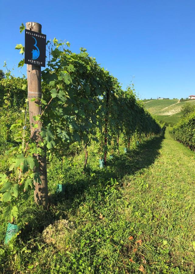 Vila Cascina Bellonuovo Alba  Exteriér fotografie